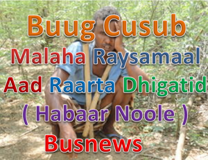 Buug Cusub Malaha Raysamaal Aad Raarta Dhigatid ( Habaar Noole ) By Busnews